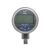 مانومتر (Pressure Gauge)|0..10|دیجیتال
