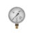 مانومتر (Pressure Gauge)|0..160|KFM160