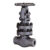 شیر کشویی (Gate Valve) DN50|CALSS1500