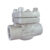شیر یکطرفه (Check Valve)DN50|BAR210|