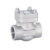 شیر یکطرفه (Check Valve) BAR50| DN25|