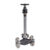 شیر سوزنی (needle valve)|DN50|CLASS1500