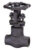 شیر کشویی (Gate Valve) DN25|CLASS1500