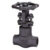 شیر کشویی (Gate Valve) DN25|CLASS1500