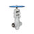 شیر کروی (globe valve)|DN 25|F91|Class 4500