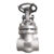 شیر کشویی(Gate Valve)|DN40|CLASS1500|F60