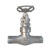 شیر کروی(globe valve)|S.S|DN50|CLASS1500