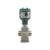 فلومتر (FlowMeter)|DN10|AXF010C